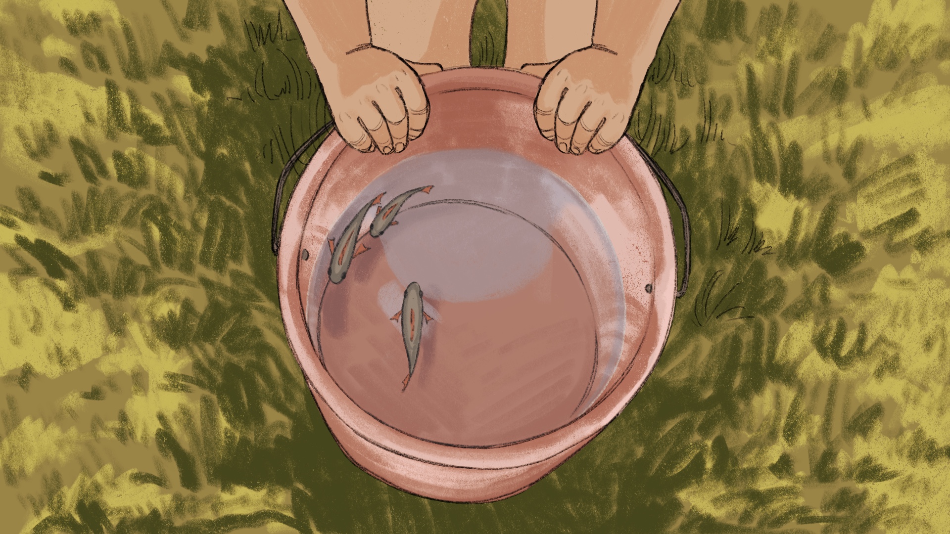 iadt animation graduate film - still of fishes in a bucket