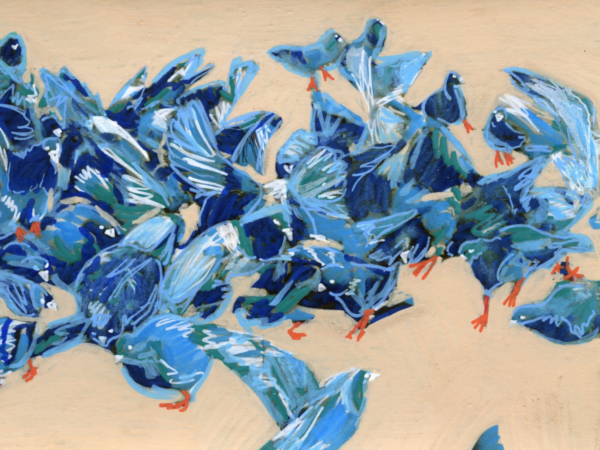drawing of a flock of birds feeding